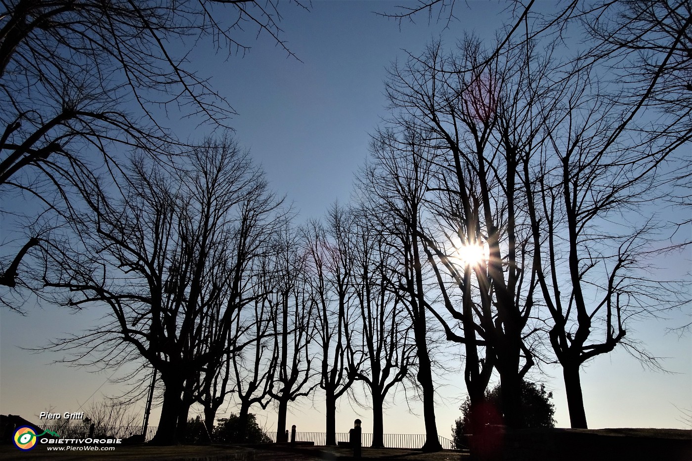 47 Piante controsole al Parco del Castello di San Vigilio.JPG